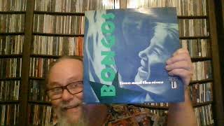 Bongos - Question Ball