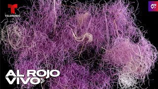 Hallan restos de telas que vestían reyes de la Biblia más caras que el oro