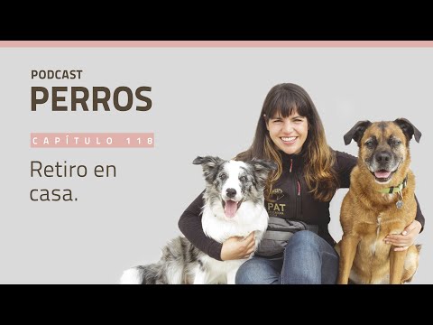 Podcast perros: el retiro en casa