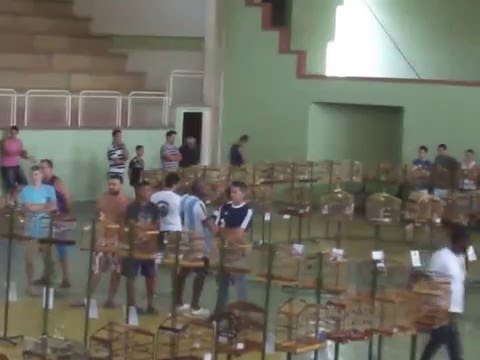 Torneio de Leopoldina MG dia 06/12/2015