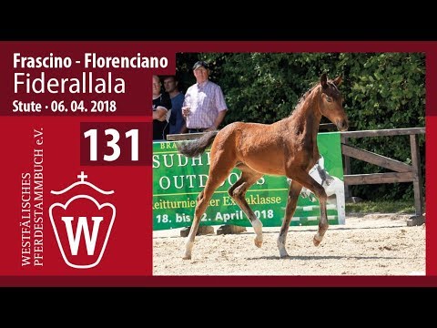 131 Fiderallala SF v. Frascino - Floreciano