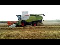 AGRO GÁRDA ZRT CLAAS LEXION CLAAS TUCANO Búza Aratás