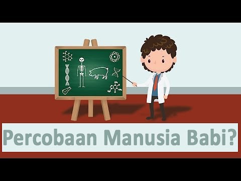 BCA dan potensi Bagaimana kehilangan keperawanan jika penis kecil