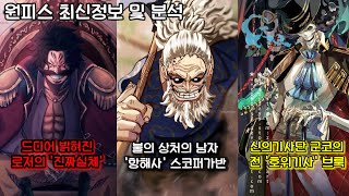 [원피스 최신정보 및 분석] 드디어 밝혀진 로저의 실체 불의 상처의 남자 가반, 군코의 호위기사 브룩