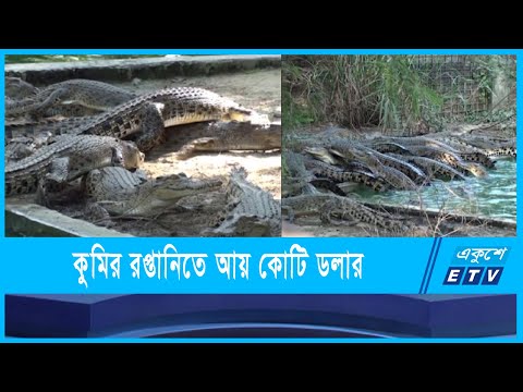 কুমির রপ্তানিতে আয় কোটি ডলার ছাড়িয়েছে