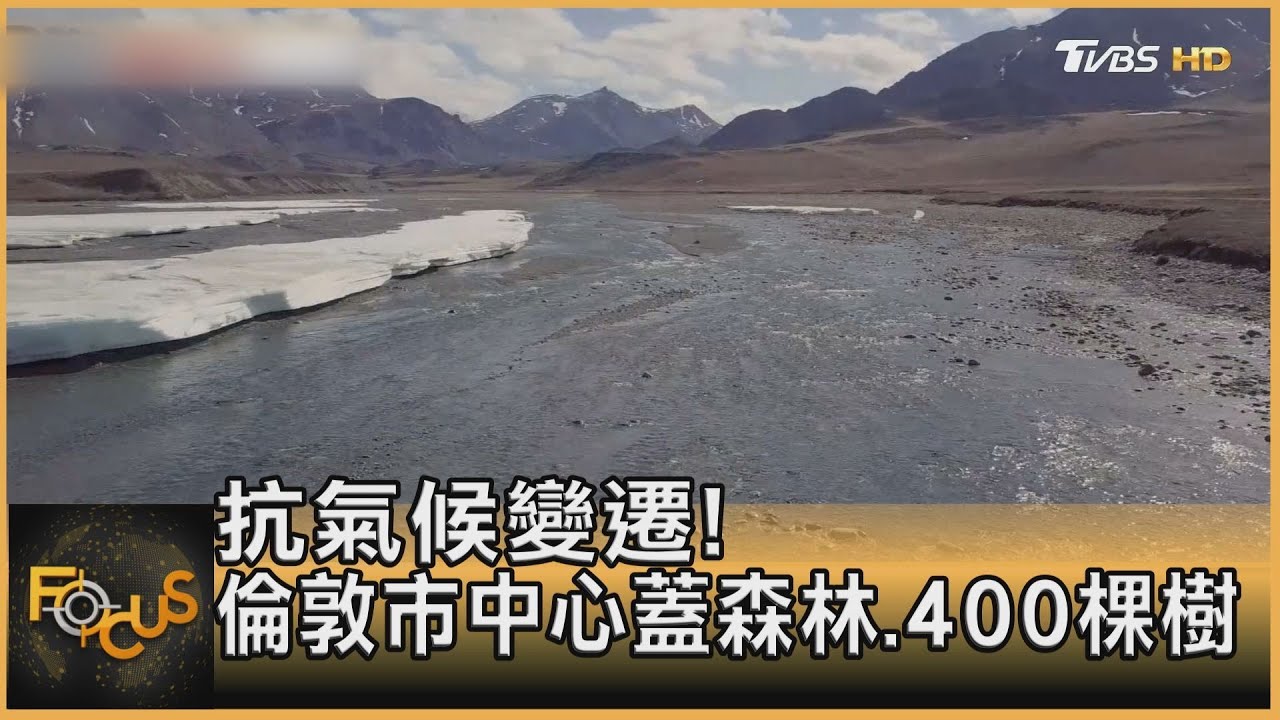 抗氣候變遷！　倫敦市中心蓋森林.400棵樹