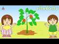 Mengenal Fotosintesis Puri Animation