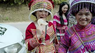Download the video "Happy wedding Quý - Chợ  22-10-2025"