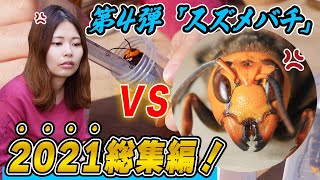 養蜂家vsスズメバチ！ニホンミツバチを襲いにやって来たスズメバチまとめ！【2021総集編】