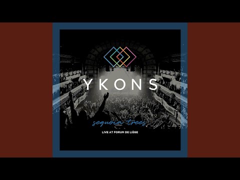 Sequoia Trees (Live at Forum De Liège)