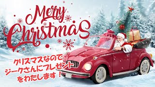 クリスマスなのでサンタさんぽいことします！