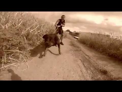 ESTÁGIO DE NIVELAMENTO TÁTICO -  DOT - SEJUS - ES