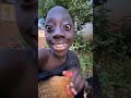 Kuku Kuku