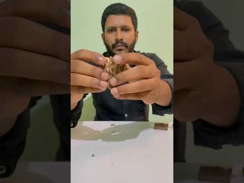 Bounty vs Snickers in Tamil | பௌண்ட்டிvs ஸ்நிக்கேர்ஸ் | #shorts