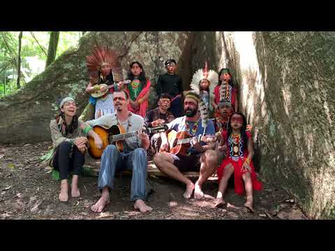 Sente Essa Força da Floresta - Leandro Petry (letra e cifra)