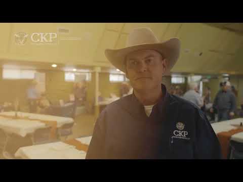 Ckp Insurance