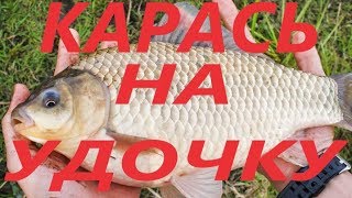 Рыболовные база в саратовской области полянка