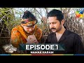 Namak Haram Episode 1