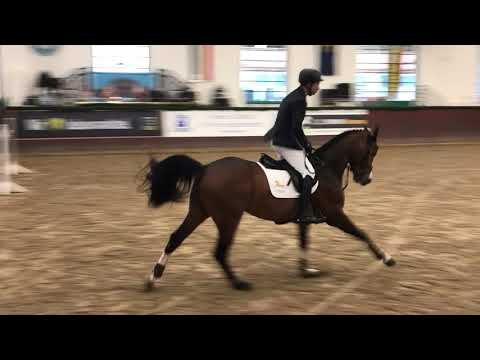 Cashmere Redefin 2020