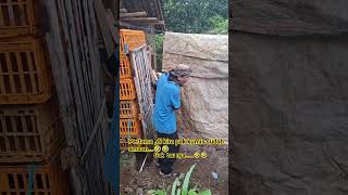 Download lagu kalau soal jail gak di ragukan lagi...🤣🤣  #comedy #funny #ngakak #viral mp3
