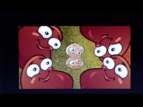 The Benson Orchestra of Chicago:  "Chili Bean"  (1920)