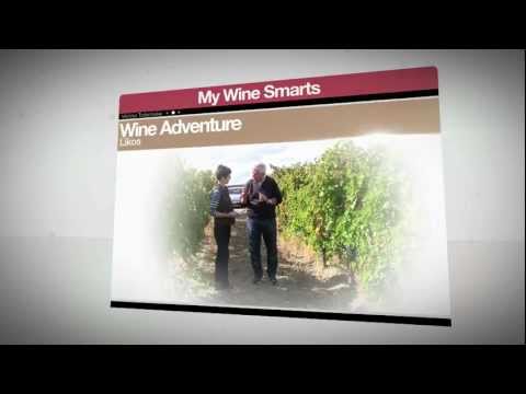 Sparkling Wine Basics from My Wine Smarts