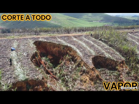 CORTE NO ENGENHO AURORA DA USINA UNIÃO EM PRIMAVERA-PE 