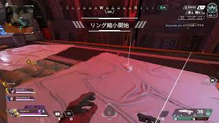 立ち回りがわからんので取り敢えず突撃（apex）