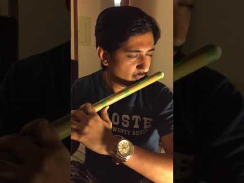 The Chainsmokers - Closer (lyric) ft. Halsey | Indian Flute