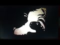 Bear In The Big Blue House Shadow Stories What Do Shadows Do For Halloween