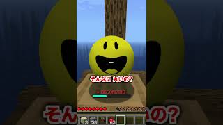 Q.なんでベリティは丸いの??　#shorts #マイクラ #ベリティ