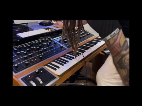 Moog One Equinox Vol1 No talking