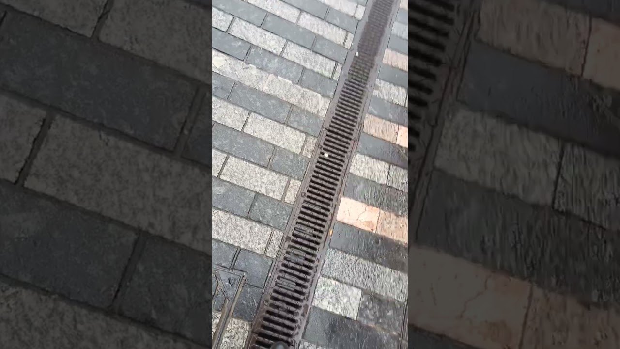 poor young people forced to scam money for share scam charity Cork City