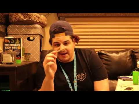 download lagu mp3 mp4 Cherry Seasoning, download lagu Cherry Seasoning gratis, unduh video klip Cherry Seasoning