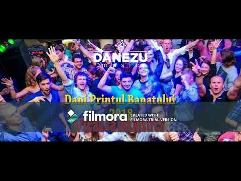 DANI PRINTUL BANATULUI - VREAU DISTRACTIE  2018