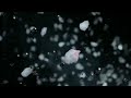 Air Wick Pure Freshmatic Commercial 2017