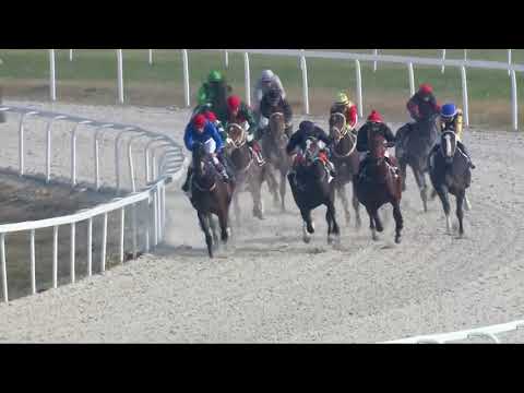 2017.11.05. 2. futam - KÖNIG RÓBERT EMLÉKVERSENY-NYERETLEN KÉTÉVESEK VERSENYE (IV.kat.)