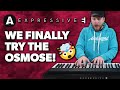 NEW Expressive E Osmose Synth! - Worth The Hype?
