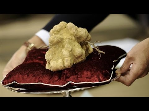 Levitra per la potenza sopra il contatore Limpotenza con ormoni