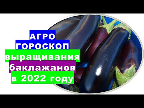 , title : 'Агрогороскоп выращивания баклажанов в 2022 году'