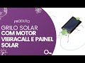 Video - Grilo Solar com Motor Vibracall e Painel Fotovoltaico - Kit Educacional