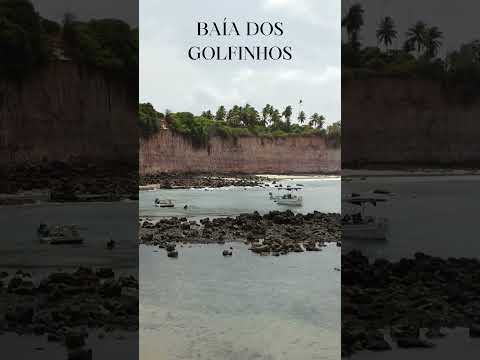 RASANTE SOBRE CORAIS NA BAÍA DOS GOLFINHOS NO RIO GRANDE DO NORTE #natalrn #natal #nordeste