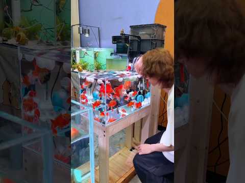 The Funniest Way to Clean a Fish Tank! 😂🐟