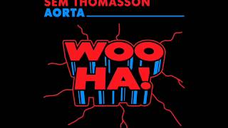 Sem Thomasson - Aorta (Original Mix)