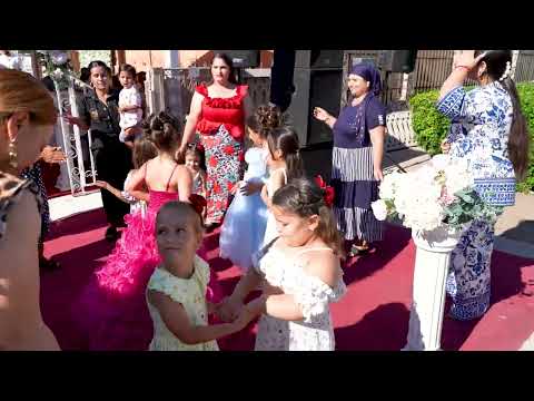 Catalin de la Alexandria live cana Ady&Cezarina