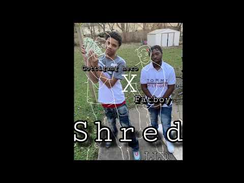 Shred - Fatboy Ft Gottigang Herb