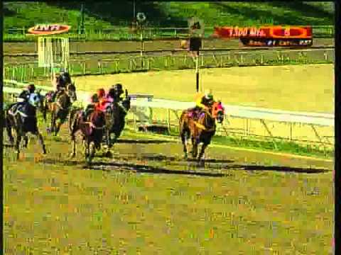 Resumen Sábado, 22 de Noviembre de 2014 - La Rinconada