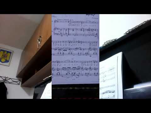 Canta puiul cucului-Tiberiu Brediceanu.Piano accompaniment-INSTRUMENTAL