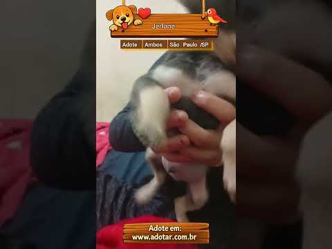 Vídeo de Jerlane 