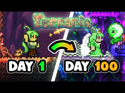 I Spent 100 Days In Terraria's ZENITH Seed!